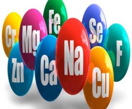 Noções de bioquímica